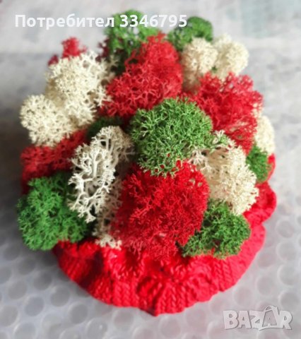 Кашпа със скандинавски мъх. , снимка 6 - Други - 44117016