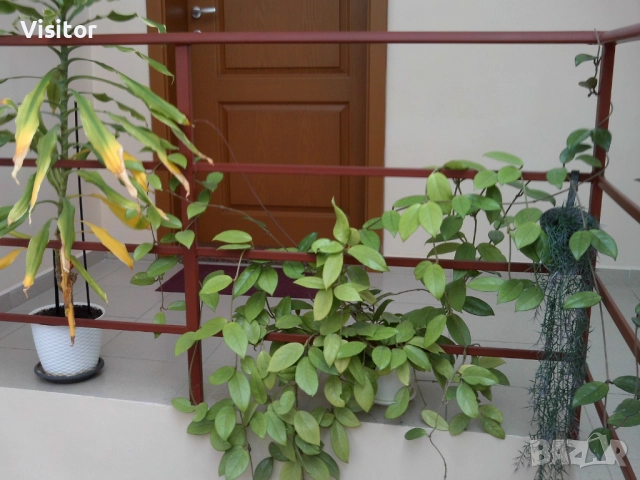 фотоапарат MAGINON Splash 8    8MPx, снимка 14 - Фотоапарати - 52953703