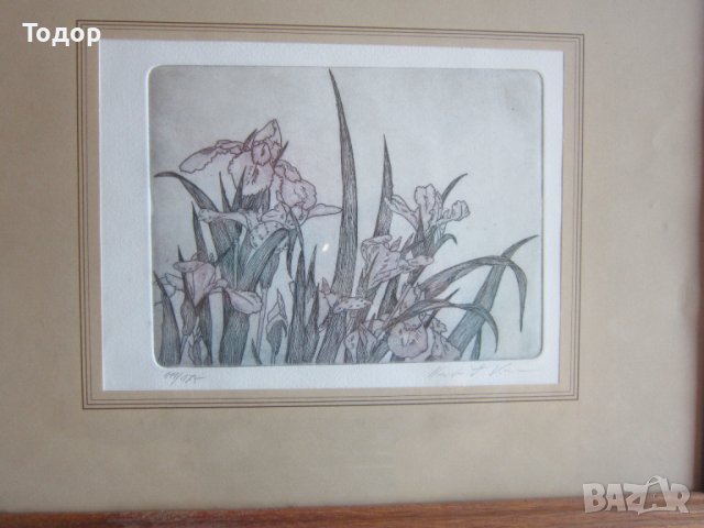 Картина офорт гравюра подписана , снимка 5 - Картини - 37396487