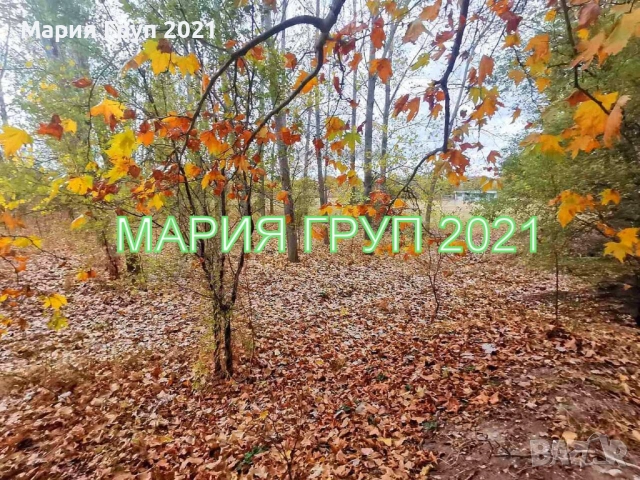 !!!ТОП ОФЕРТА!!!Продавам Парцел в село Скобелево област Хасково!!!