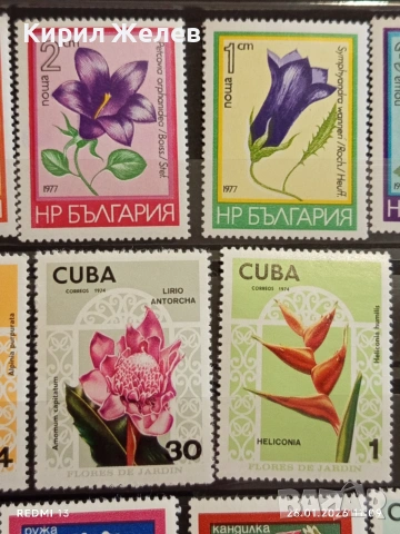 Стари пощенски марки от цял свят смесени ЦВЕТЯ без печат за КОЛЕКЦИЯ 52074, снимка 5 - Филателия - 53228641