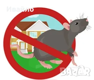 Унищожаване на насекоми,хлебарки и мишки, снимка 2 - Други стоки за дома - 49225410