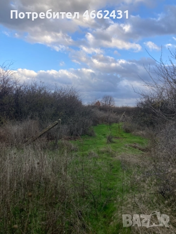  Парцел 2320 м2 - отличен за лозе/градина/пчелин, до път Дебър–Брягово, снимка 9 - Парцели - 52562178