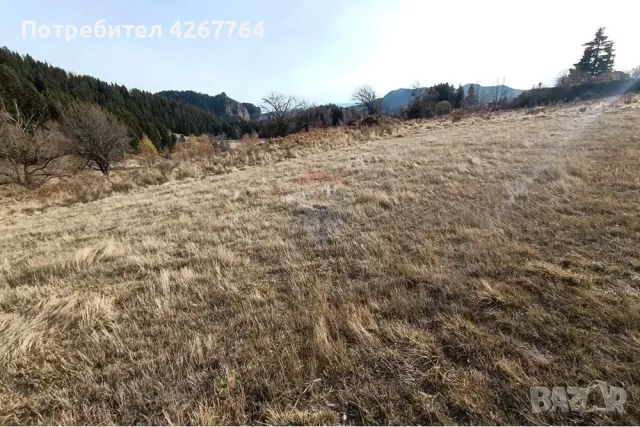 Поземлен имот в Езерово