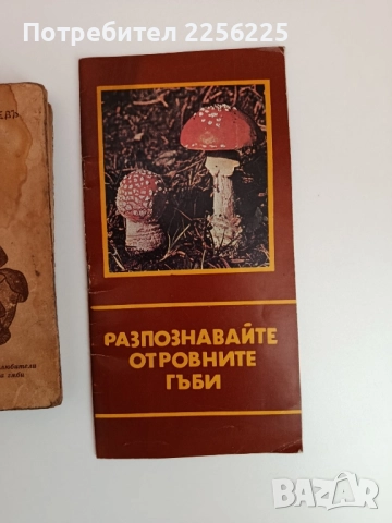 ЛОТ Гъбарство, снимка 8 - Специализирана литература - 51794307
