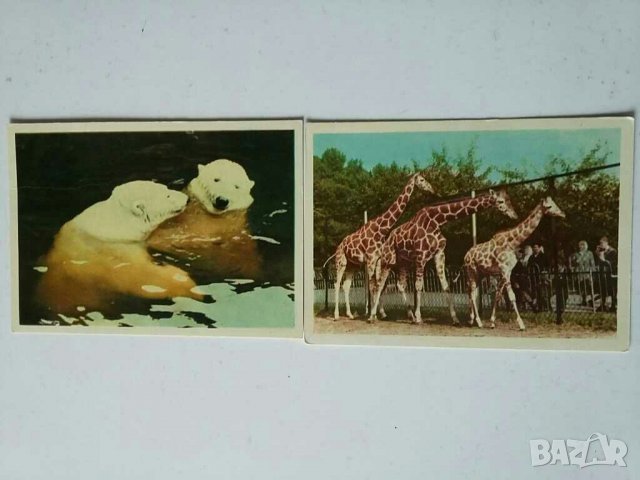 Албуми с картички от СССР Ленинград, снимка 9 - Колекции - 28969987