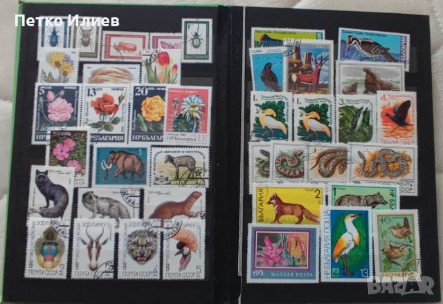 Пощенски марки, снимка 1 - Филателия - 39578038
