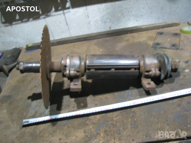 абрихт Глава