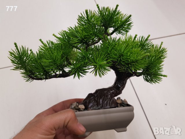 Бонсай , Бонзай, снимка 2 - Изкуствени цветя - 38915633
