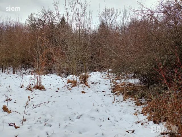 Дворно място/ Парцел 1000 кв.м, снимка 3 - Парцели - 33885672