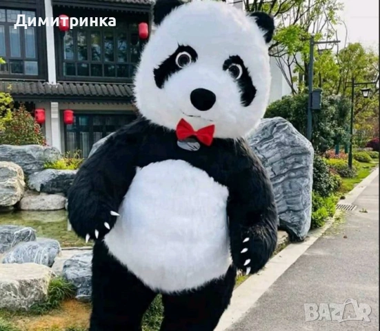 Изненада за 8 Март , снимка 3 - Други услуги - 53522131