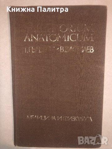 Repetitorium Anatomicum от Г. Гълъбов, В. Василев-1981, снимка 1 - Специализирана литература - 32812904