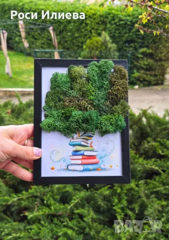 Картина "С любов към Знанието" декорирана с естествен скандинавски мъх, снимка 3 - Картини - 49726797