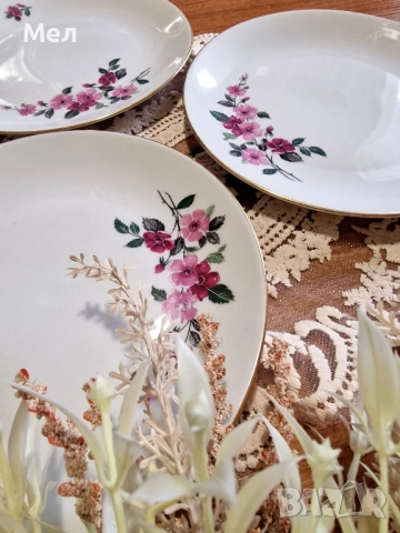 Чинии Бохемя , снимка 3 - Чинии - 52255964