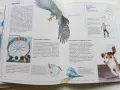 Детска Енциклопедия "Първи стъпки в науката " - Том 1,2 - 1993г., снимка 5