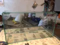 Аквариуми 2 броя /единия може и за терариум/, снимка 10