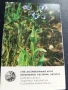 Старо календарче 82г. ЦВЕТЯ рядко за КОЛЕКЦИЯ ДЕКОРАЦИЯ 35327, снимка 4