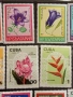 Стари пощенски марки от цял свят смесени ЦВЕТЯ без печат за КОЛЕКЦИЯ 52074, снимка 5
