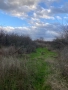  Парцел 2320 м2 - отличен за лозе/градина/пчелин, до път Дебър–Брягово, снимка 9