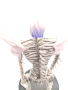 Аниме фигурка на Rem от Death Note - Манга, Рем, снимка 4