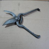  Стара немска лозарска ножица - 2 , снимка 2 - Други ценни предмети - 43450840