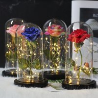 Роза в стъкленица с лед светлина, снимка 1 - Подаръци за жени - 27758639