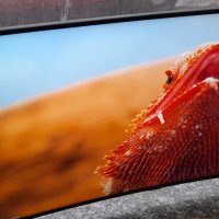 Телевизор LED Smart Samsung, Извит, 55" (139 cм), 4K Ultra HD, снимка 5 - Телевизори - 35277478