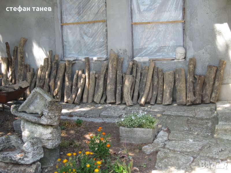 Чемшир - дървен материал за украсна резба, снимка 1