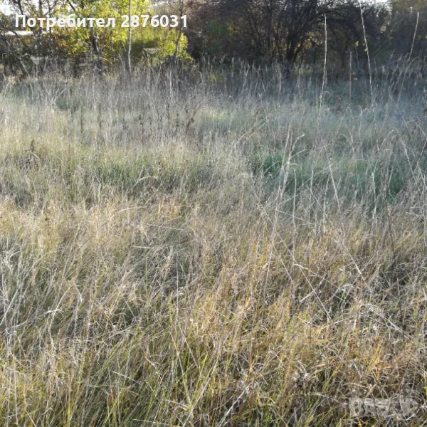 УПИ в Банкя, снимка 1