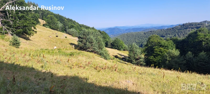Продава земя в Родопите, снимка 1