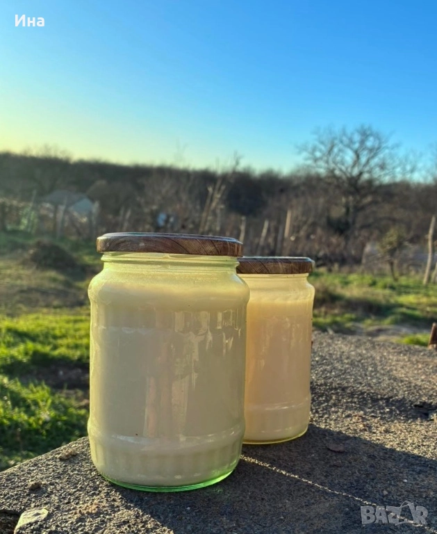 ДОМАШНА СВИНСКА МАС, снимка 1