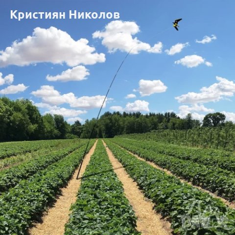 4 метрово телескопично хвърчило - плашило срещу птици, снимка 3 - За птици - 35571272