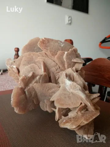 Красива и интересна вкаменелост--Пустинна роза от пустинята Сахара., снимка 3 - Антикварни и старинни предмети - 47359931