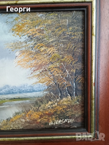 Картина масло-289, снимка 5 - Антикварни и старинни предмети - 52220942