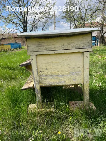 пчеларски кошери, снимка 4 - За пчели - 49845812