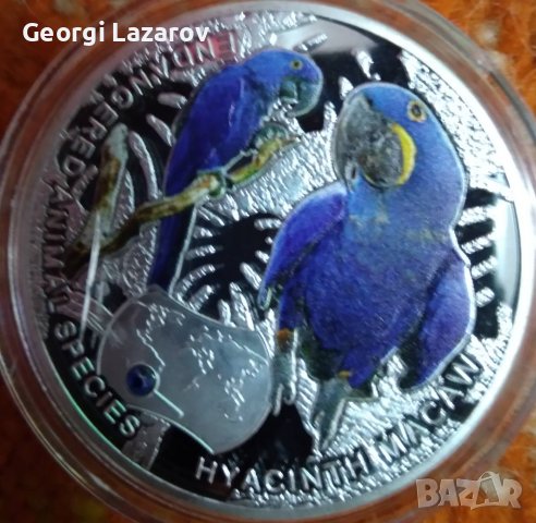 1000 квача Замбия 2014 папагали