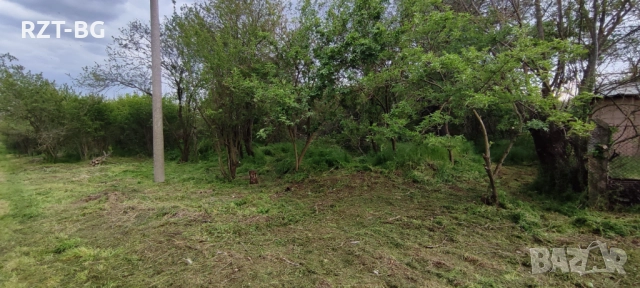 Почистване, косене, подкастряне, подръжка на терени, снимка 4 - Почистване на домове - 51525327