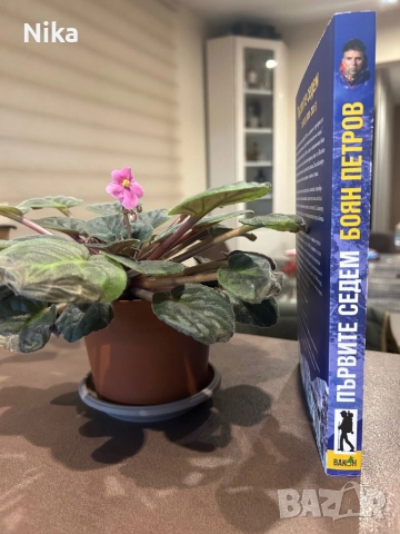 Първите седем - Боян Петров 