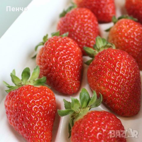 100 гигантски ягодови семена от плод ягода ягоди органични плодови ягодови семена от вкусни ягоди от, снимка 14 - Сортови семена и луковици - 27610133