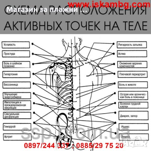 Масажор за тяло Делфин, Инфрачервен, 30W, снимка 7 - Други стоки за дома - 28463581