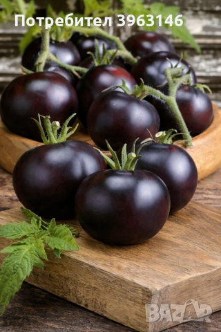 Семена за Стотинки, снимка 13 - Сортови семена и луковици - 52838410