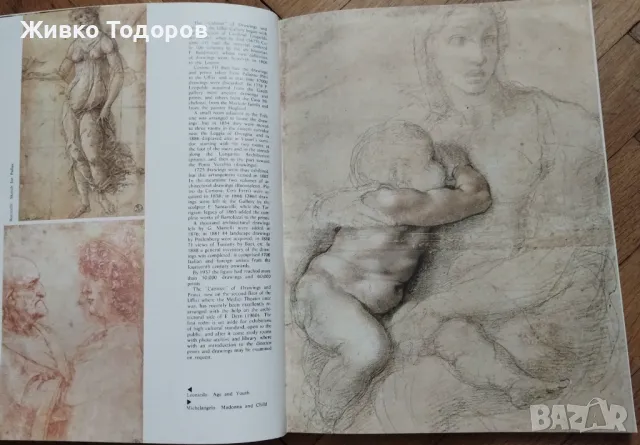 The Uffizi All Paintings in 657 Illustrations /Галерия Уфици, снимка 12 - Други - 49069308