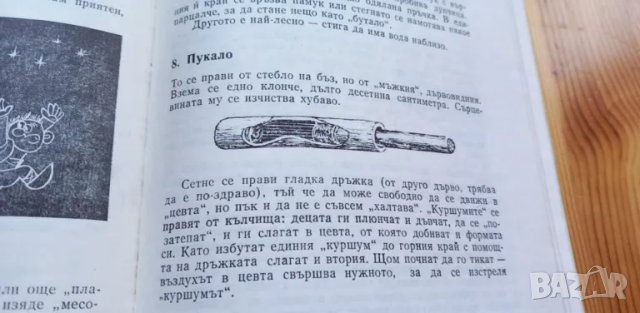 Две петлета се скарали Български народни игри за деца - Илия Зайков, Златка Асенова, снимка 14 - Специализирана литература - 47652520