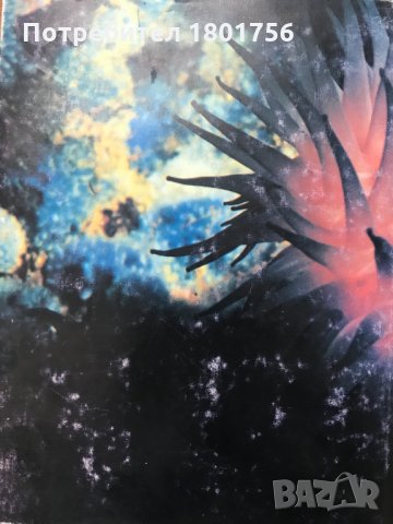 Енциклопедичен речник по Океанология Колектив, снимка 5 - Енциклопедии, справочници - 28869490