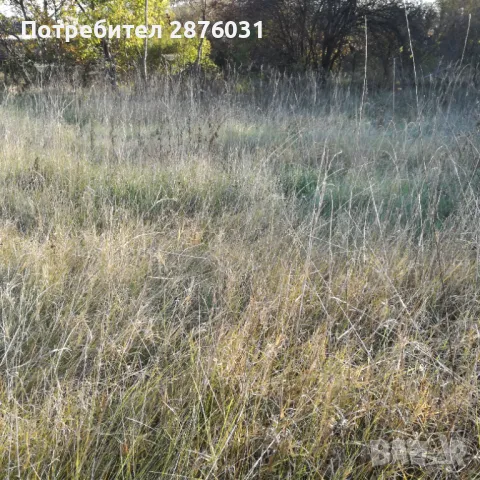 УПИ в Банкя, снимка 1