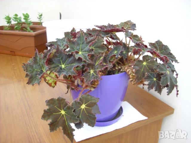 цифров фотоапарат AGFA PHOTO DC - 1033M   10MPx, снимка 15 - Фотоапарати - 51285083