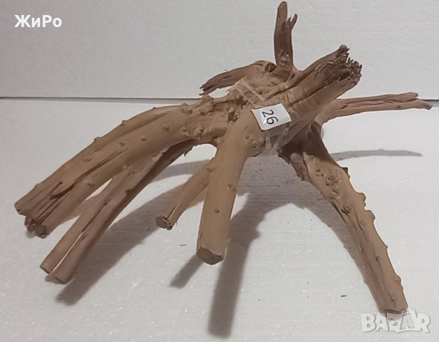 Корен от Азалия /декорация/ 26, снимка 3 - Други - 53396803