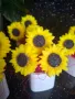 Слънчогледи в кашпи, снимка 4