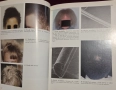 A Colour Atlas of the Hair, Scalp and Nails, снимка 7