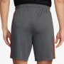 Мъжки шорти Nike Dri-FIT Academy DV9742-068, снимка 2